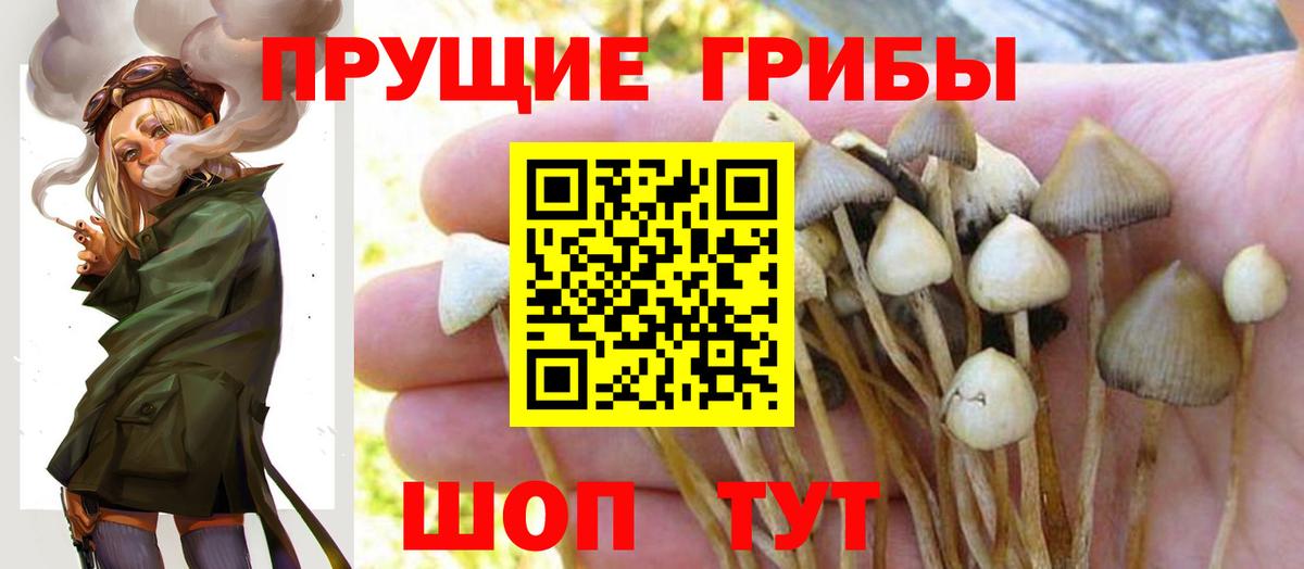 Псилоцибиновые грибы мицелий Азнакаево